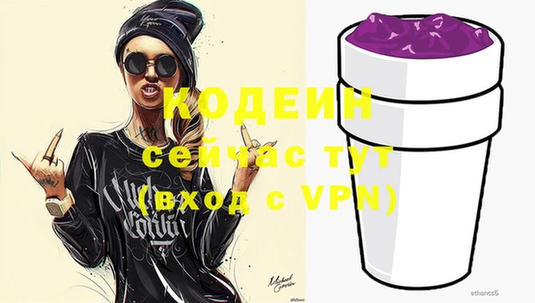 индика Майский