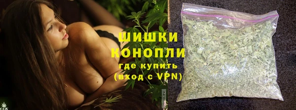 Альфа ПВП Горняк