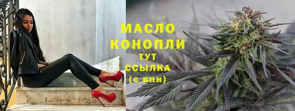 Альфа ПВП Горняк