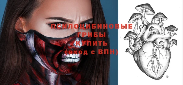 ПСИЛОЦИБИНОВЫЕ ГРИБЫ Магас