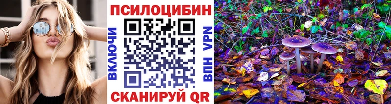 ссылка на мегу ссылки  Михайлов  Псилоцибиновые грибы мицелий 